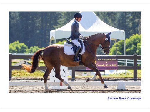Sabine Ense Dressage